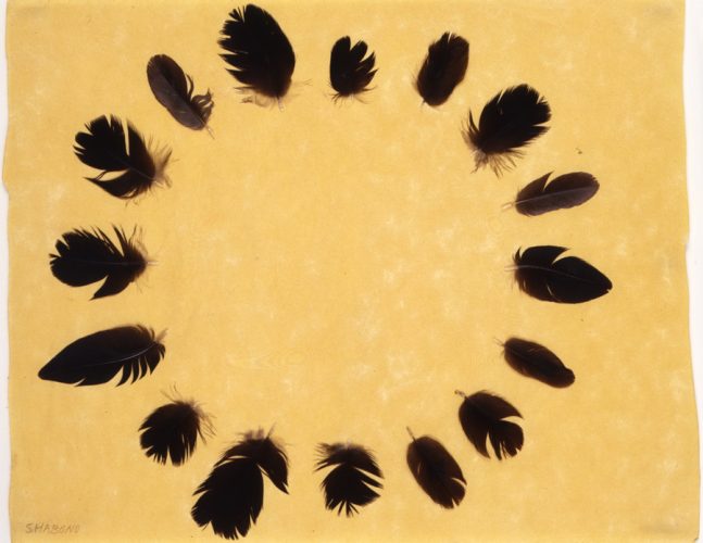 72 #20- SHABONO, 1977, feathers on paper, 9 x 11 in. 23 x 28 cm