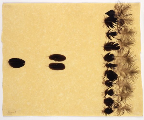 73 #19 ARANA, Circa 1976-1977, feathers and paper, 9 x 11 in. 23 x 28 cm., -
